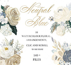 147张高清背景透明的北欧风中性水彩花卉PNG图片：Neutral flowers Watercolors